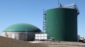 Planta de generación Bioeléctrica Planta de generación Bioeléctrica