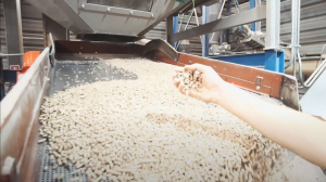 Apuestan por la producción sostenible de combustibles derivados de la madera Apuestan por la producción sostenible de combustibles derivados de la madera