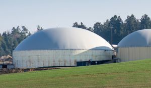 La industria energética que generan los purines porcinos y residuos agroalimentarios en la fabricación de biogás La industria energética que generan los purines porcinos y residuos agroalimentarios en la fabricación de biogás
