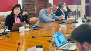 En Comisión de Hacienda del Senado, ACERA A.G. reafirma que subsidio eléctrico debe ser fiscal, focalizado y sin distorsiones En Comisión de Hacienda del Senado, ACERA A.G. reafirma que subsidio eléctrico debe ser fiscal, focalizado y sin distorsiones