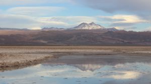 SQM reducirá al 50% el uso de agua continental en el Salar de Atacama y consolida 17% del mercado global de litio SQM reducirá al 50% el uso de agua continental en el Salar de Atacama y consolida 17% del mercado global de litio