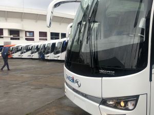 Buses eléctricos