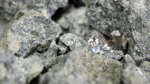 Eficiencia en el procesamiento de minerales