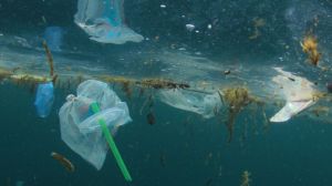 Contaminación por plásticos en los océanos Contaminación por plásticos en los océanos