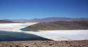 Salar de Maricunga Salar de Maricunga