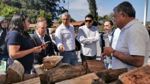 Región del Biobío se anticipa al invierno