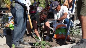 Fundación Mi Parque