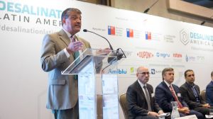 Roberto Pizarro U Talca