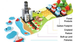 Sobregiro ecológico