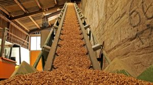 Biomasa en Chile Biomasa en Chile