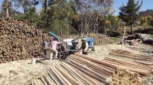 Maule trabaja en Acuerdo de Producción Limpia