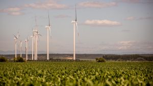 Parque eólico Parque eólico