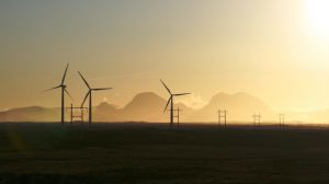Día Mundial del Medioambiente Día Mundial del Medioambiente