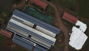 Planta fotovoltaica en fundo de Purranque Planta fotovoltaica en fundo de Purranque