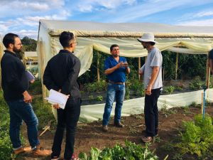 Innovador proceso de tecnificación de invernadero geotérmico en la Región de los Ríos Innovador proceso de tecnificación de invernadero geotérmico en la Región de los Ríos