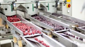 Empresas de alimentos procesados