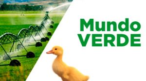 Mundo Verde Banco Estado Mundo Verde Banco Estado