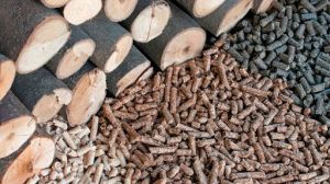 Ley de Biocombustibles Sólidos Ley de Biocombustibles Sólidos