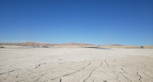 Paste 2020 Paste 2020