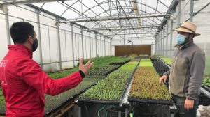 Invernaderos fotovoltaicos