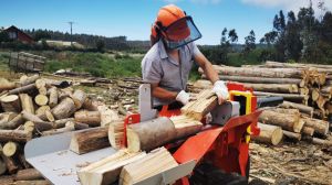 Fondo Leña Más Seca Fondo Leña Más Seca