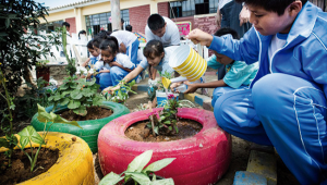 Educación Ambiental Educación Ambiental