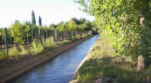 Prototipo para evitar pérdidas de agua Prototipo para evitar pérdidas de agua