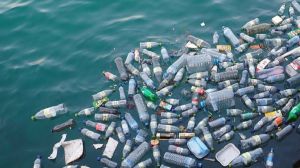 Plásticos de un solo uso Plásticos de un solo uso