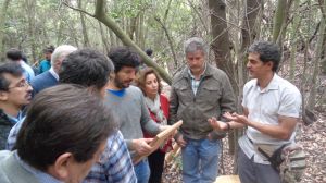 Principios de ordenación forestal para Chile