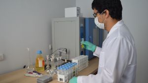 bioplásticos bioplásticos