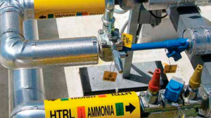 Amoníaco verde: el vector energético que puede formar parte de la revolución del hidrógeno renovable Amoníaco verde: el vector energético que puede formar parte de la revolución del hidrógeno renovable