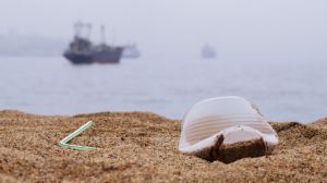 Plásticos de un solo uso Plásticos de un solo uso