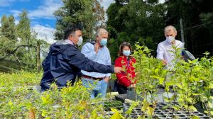 Destacan sostenibilidad de proyectos silvoagropecuarios que impulsan el desarrollo regional desde la innovación