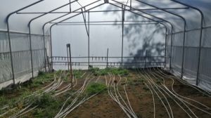 Utilizarán energía geotérmica en invernadero y secador de alimentos de Panguipulli