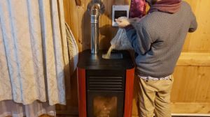 Biomasa en Chile: el potencial del pellet en la descarbonización