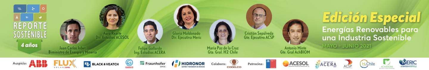 Especial Energias Renovables 2021