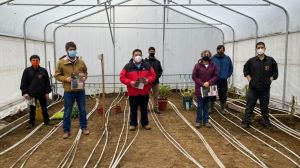 Inauguran primer invernadero en Chile calefaccionado con agua termal
