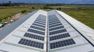 Flux Solar y su apuesta por la reactivación sostenible