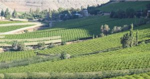 Entregan los cinco desafíos sobre innovación y eficiencia hídrica para Coquimbo Entregan los cinco desafíos sobre innovación y eficiencia hídrica para Coquimbo