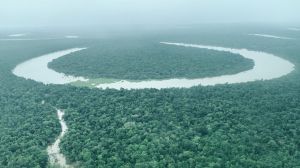 Natura &Co lanza plataforma para contribuir a la protección de la Amazonía