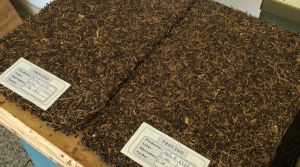 Estudian crear ecotableros para la construcción a base de residuos del sector vitivinícola y semillero