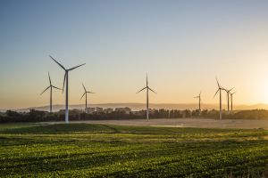 Tecnología blockchain: Aela Energía se incorpora a Pulse y certifica su energía 100% renovable Tecnología blockchain: Aela Energía se incorpora a Pulse y certifica su energía 100% renovable