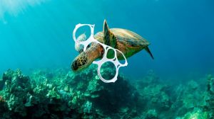 Buscan propiciar “Acuerdo Global” para combatir la basura marina y la contaminación por plásticos