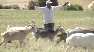 El nuevo impulso que está generando la energía solar en las comunidades indígenas y campesinas del norte de Chile