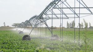 Convocatoria de Proyectos de Innovación de FIA aborda eficiencia hídrica y adaptación al cambio climático