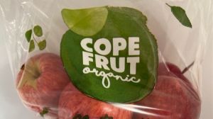 Buscan implementar embalajes sostenibles en la industria hortofrutícola Buscan implementar embalajes sostenibles en la industria hortofrutícola