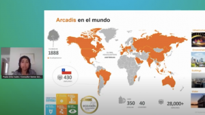 La cadena de valor de H2 Verde que impulsa Arcadis en Chile y en Países Bajos