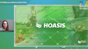 TCI Gecomp: El hidrógeno verde para impulsar una economía sostenible