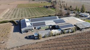 Los pasos de Lipigas en generación distribuida solar fotovoltaica