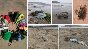 Estudio evidenció falta de señaléticas para desechar mascarillas en playas chilenas